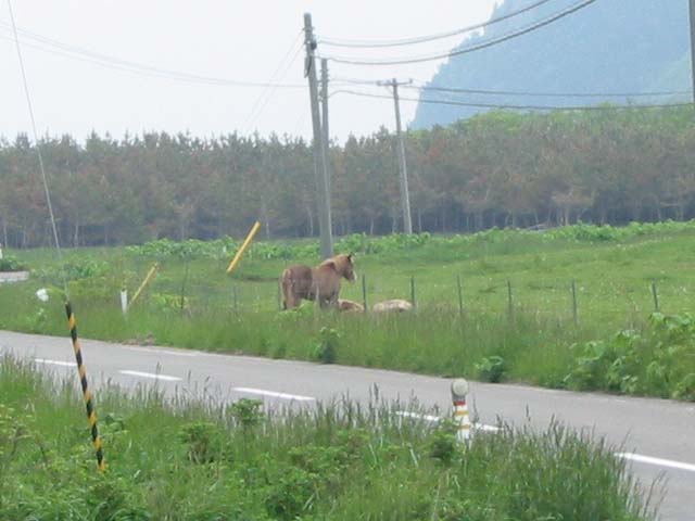 kandatime 001
